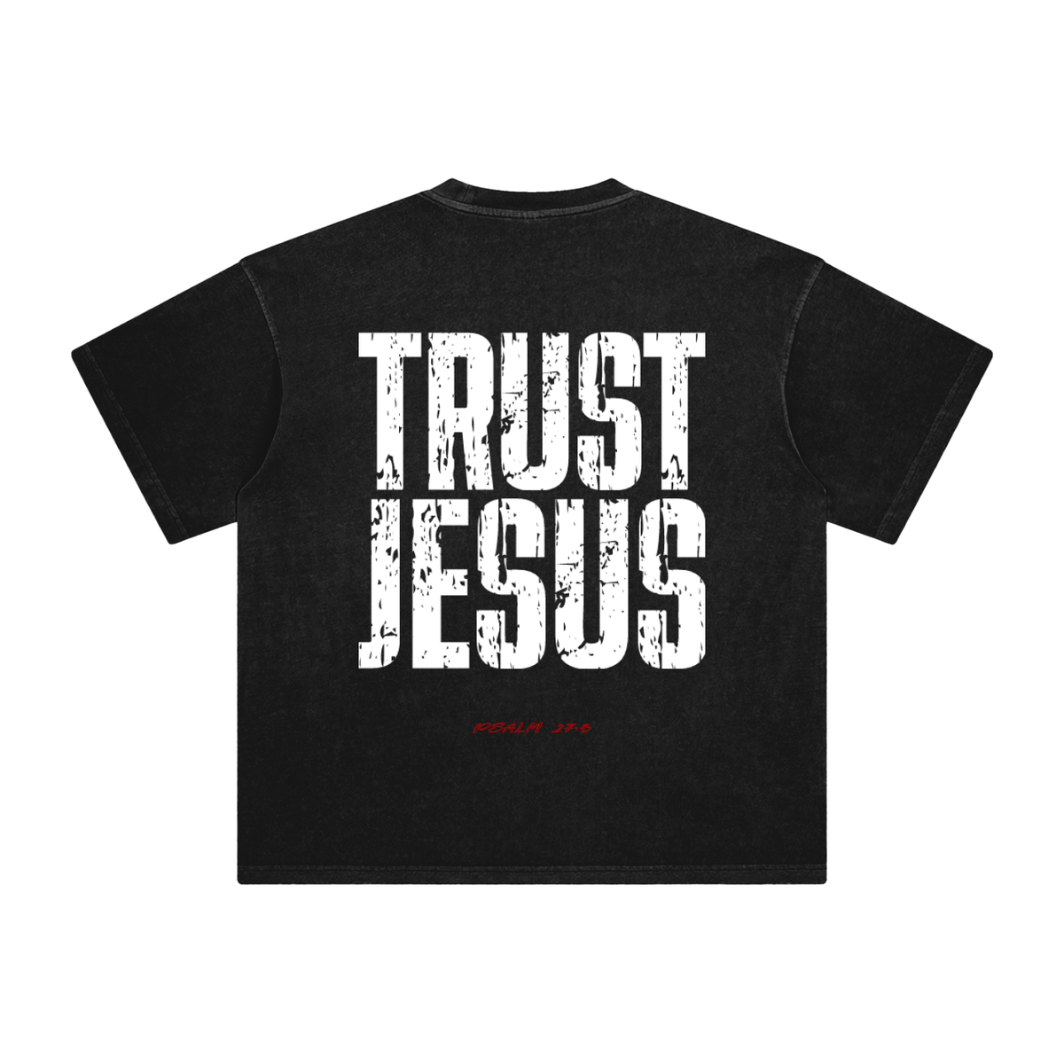 Enzyme Washed T-Shirt