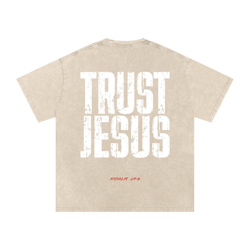Snow Washed Oversized Cotton T-Shirt